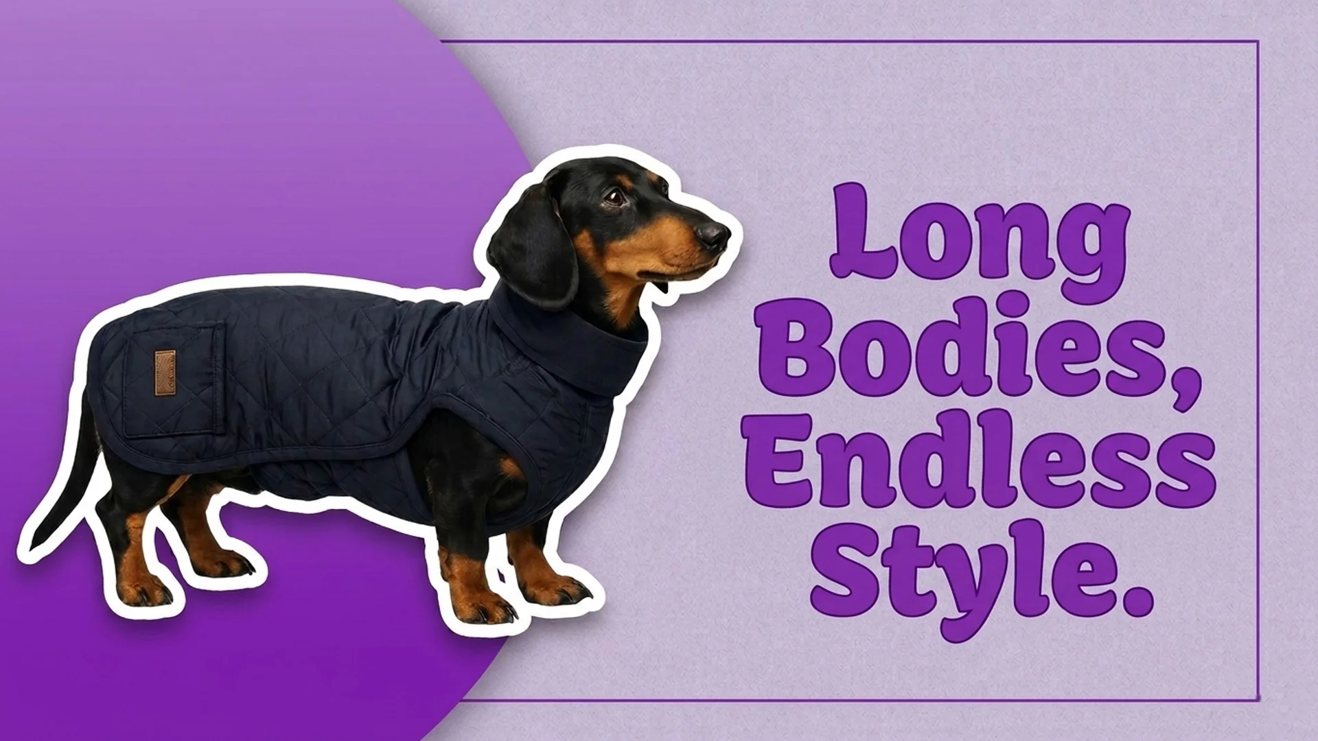 Style for Every Doxie Lover