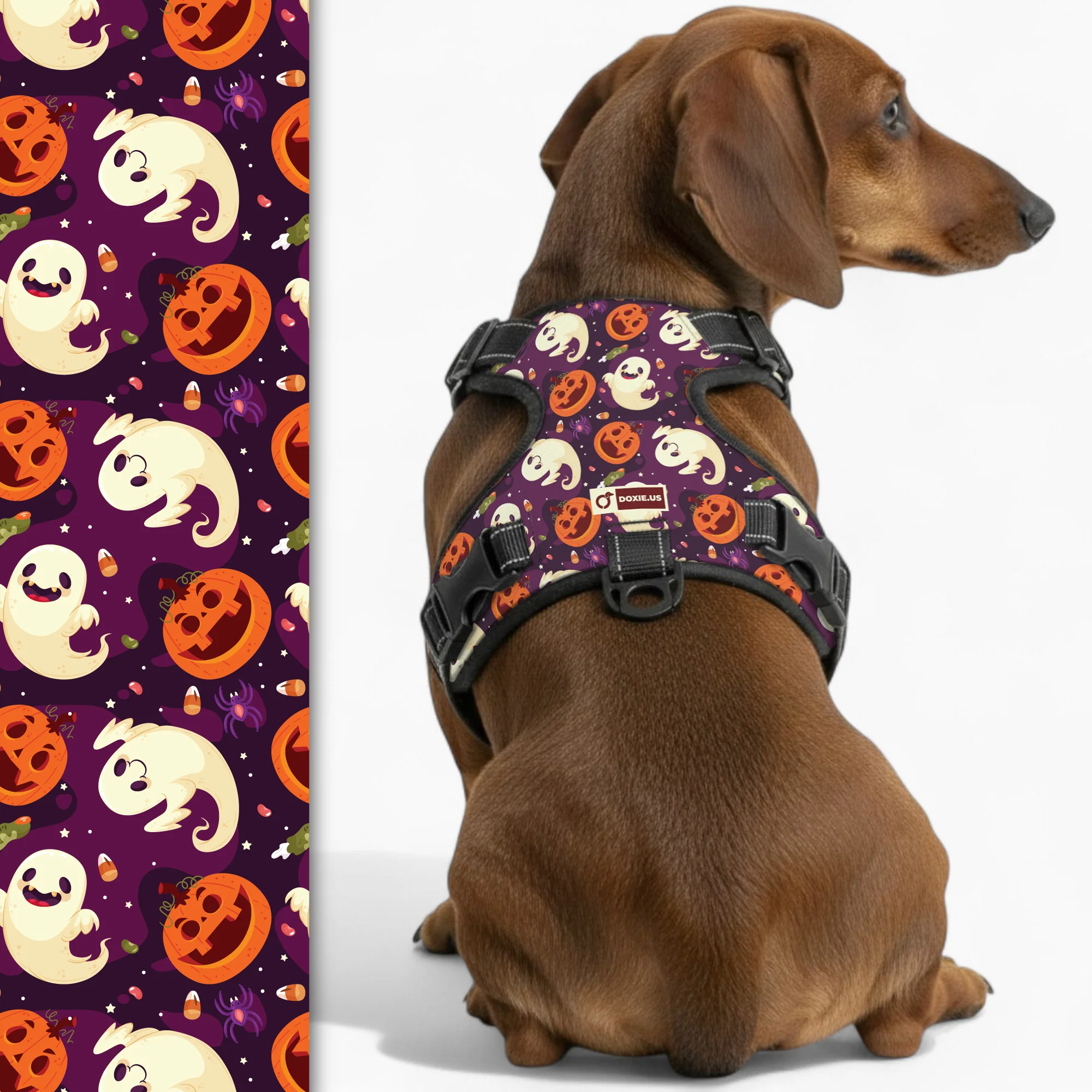 No-Pull Dachshund Dog Harness